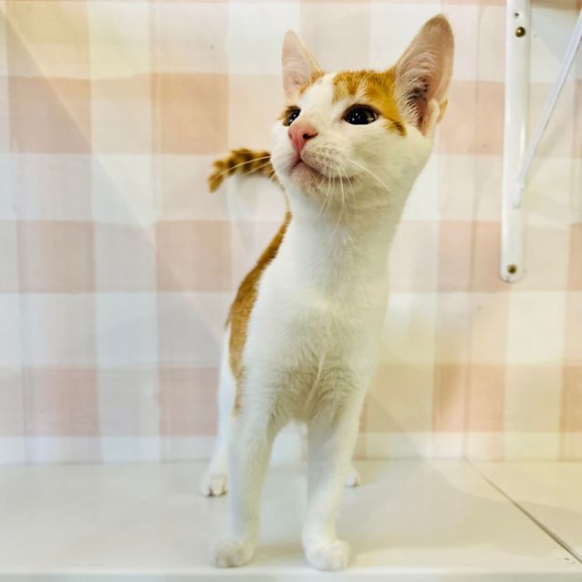 Photo of River   Located In Preston