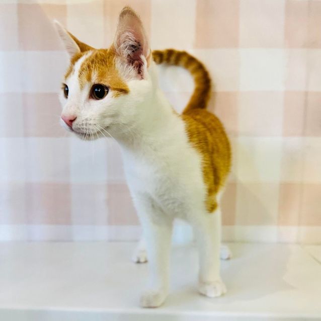 Photo of River   Located In Preston