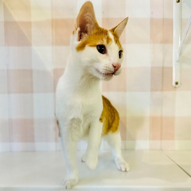 Photo of River   Located In Preston