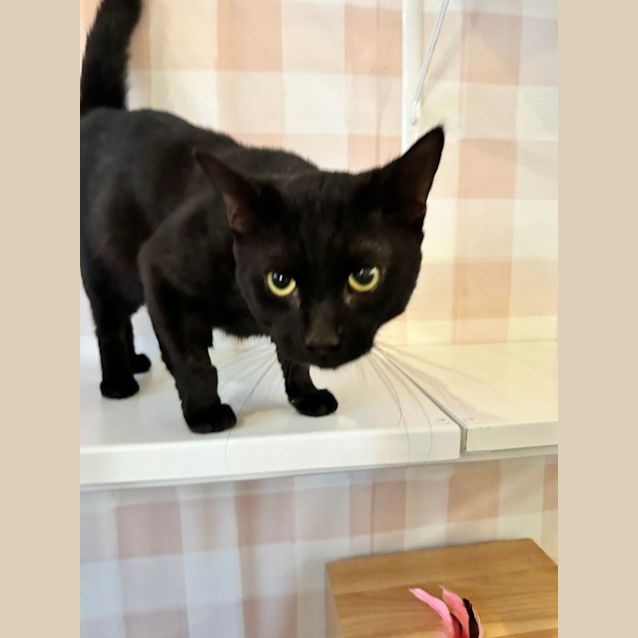 Photo of Ceelo   Located In Preston