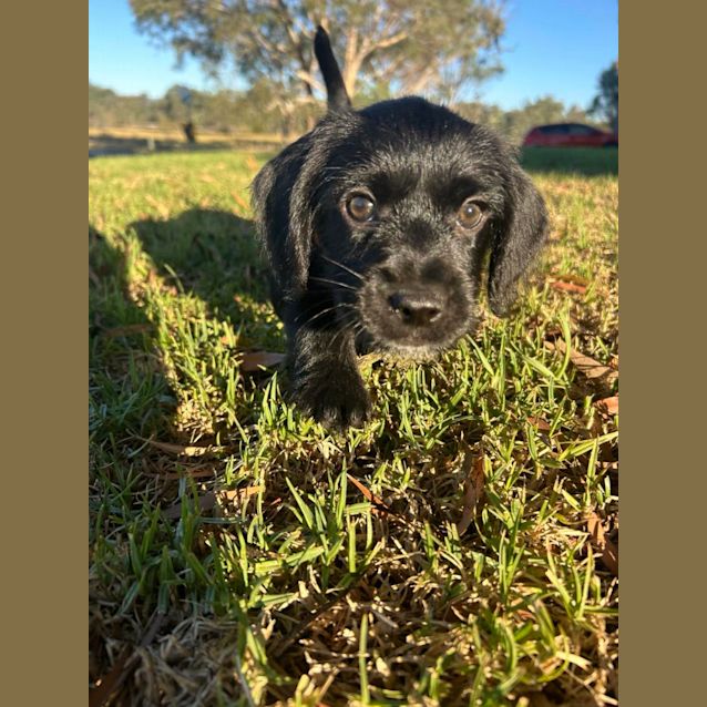 Photo of Murphy