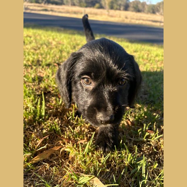 Photo of Murphy