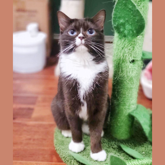 Photo of 🧇Waffle🧇