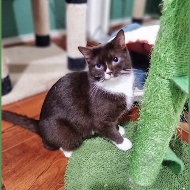 Photo of 🧇Waffle🧇