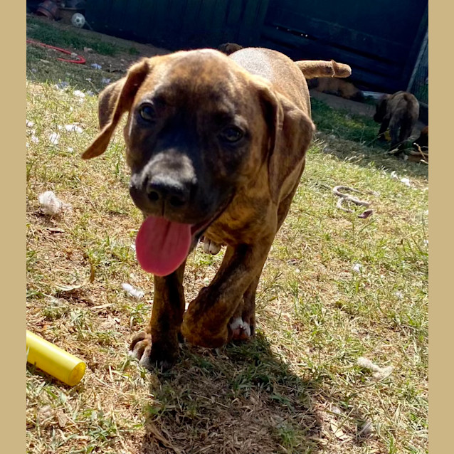 Photo of Woodrow