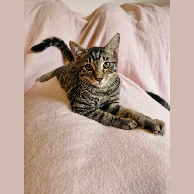 Photo of Jareth