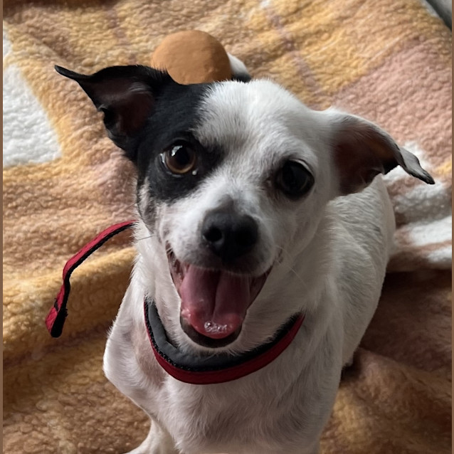 Photo of Peppi