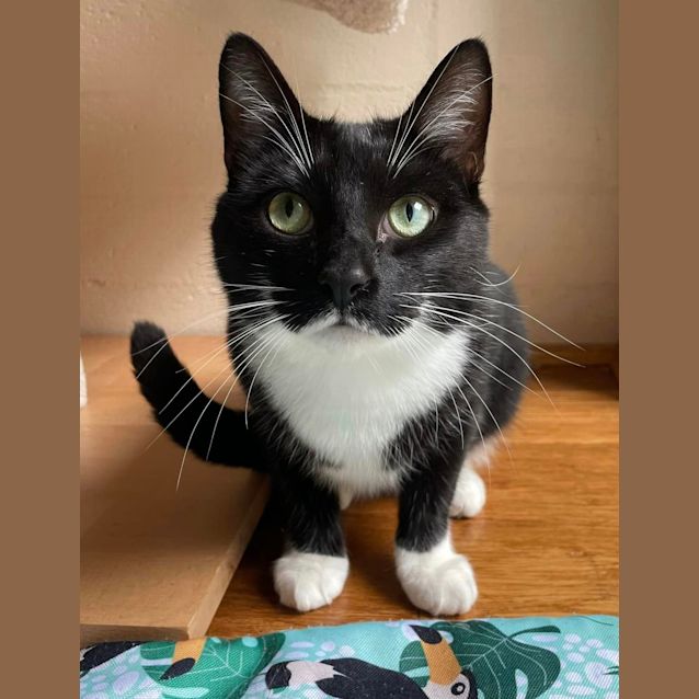 Photo of Button