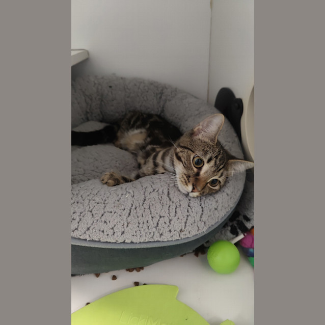 Photo of Bernard