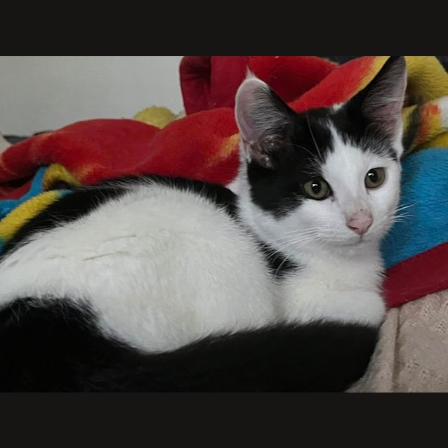 Photo of Moo