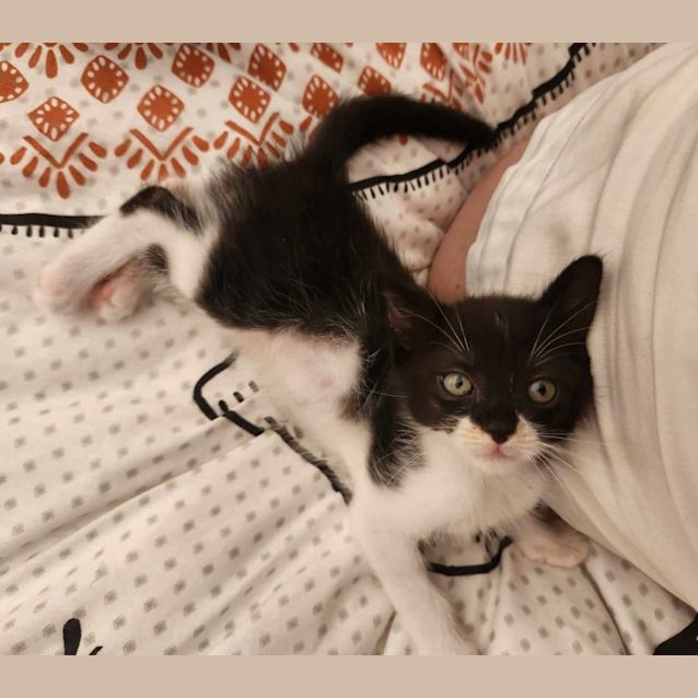 Photo of Bart   Located In Templestowe