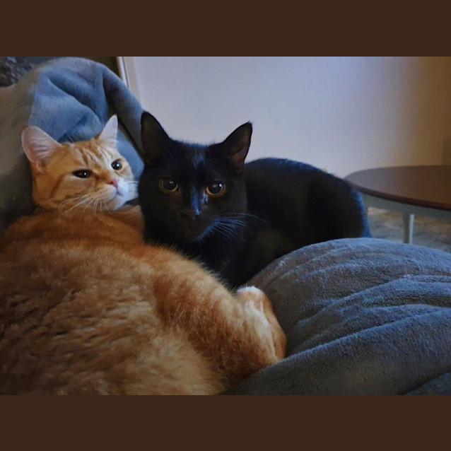 Photo of Rafael Ortiz