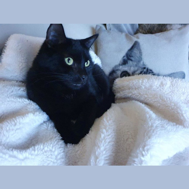 Photo of Rafael Ortiz