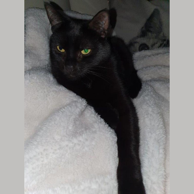 Photo of Rafael Ortiz