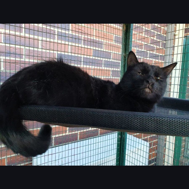 Photo of Rafael Ortiz