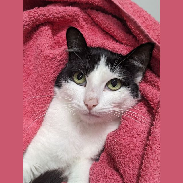 Photo of 🌟 Atlas 5090 🌟