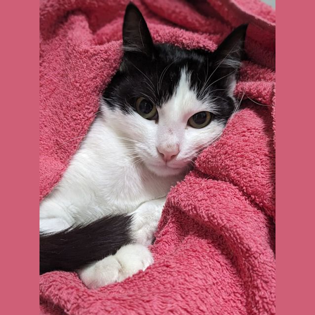 Photo of 🌟 Atlas 5090 🌟