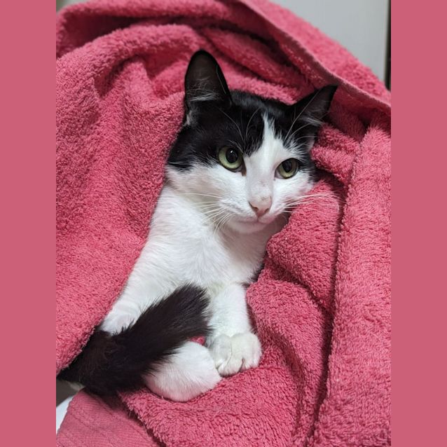 Photo of 🌟 Atlas 5090 🌟