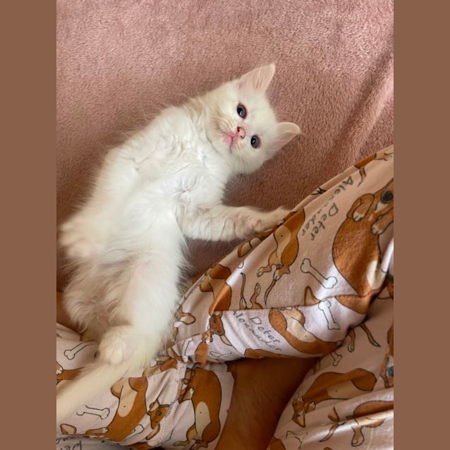 Photo of Rouen & Bordeaux 