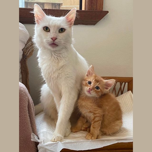 Photo of Rouen & Bordeaux 