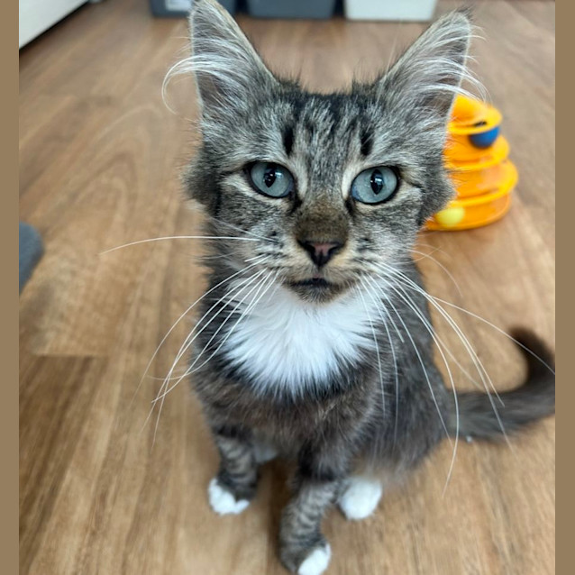 Photo of 🩷 Brandy 🩷