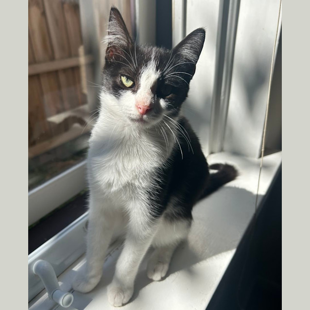 Photo of 🩷Penny🩷