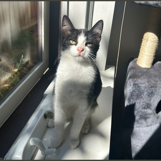 Photo of 🩷Penny🩷