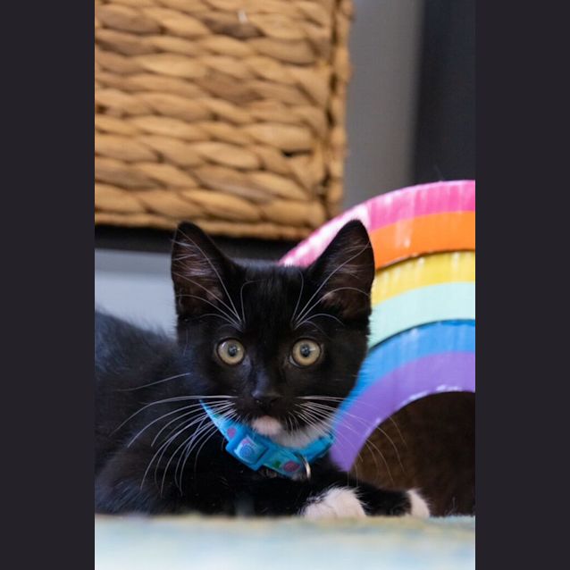 Photo of Hades