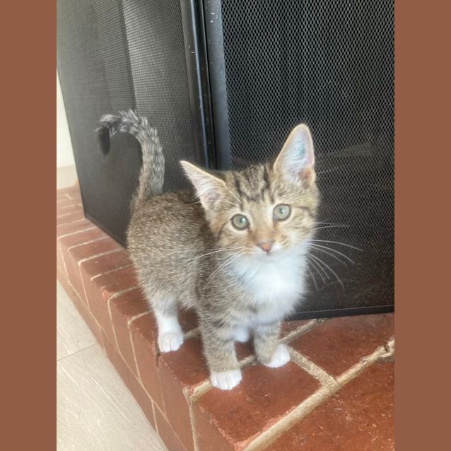 Photo of Bruce   Located In Ivanhoe