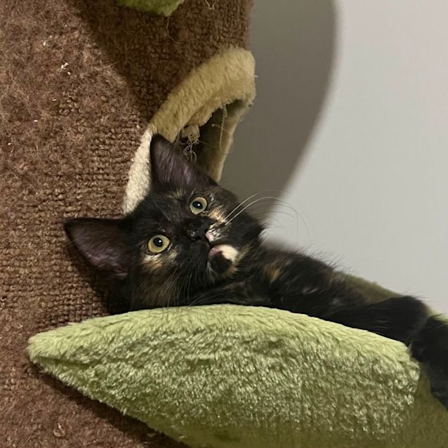 Photo of Charlotte 🌸💕