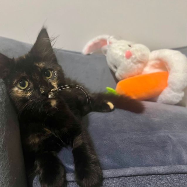 Photo of Charlotte 🌸💕