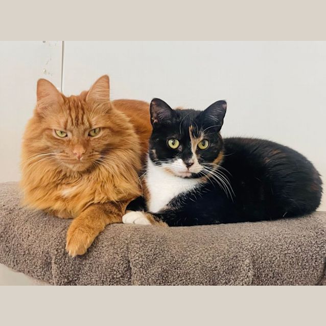 Photo of Brayden & Taylor   Located In Preston