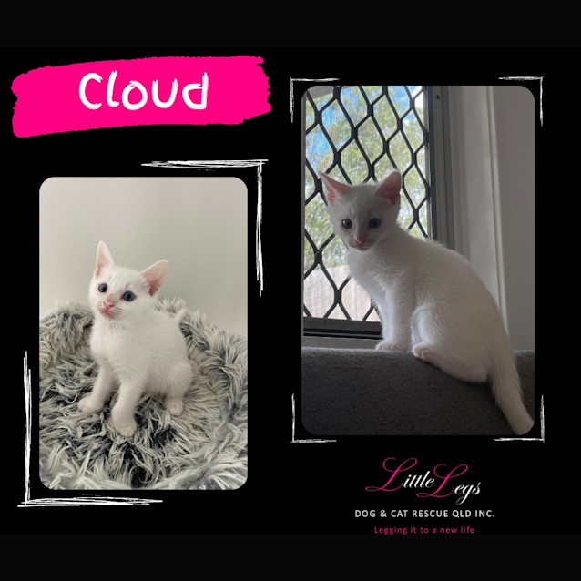 Photo of Cloud
