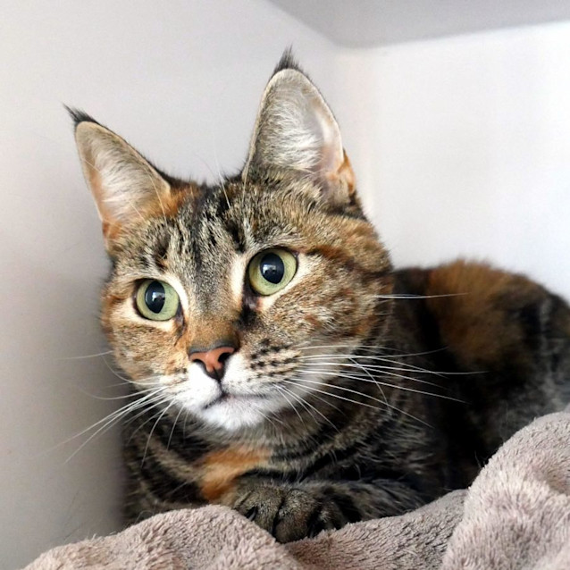 Photo of Lucy Sua012446