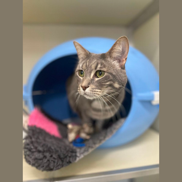 Photo of 🧵 Cedric F02808 🧵