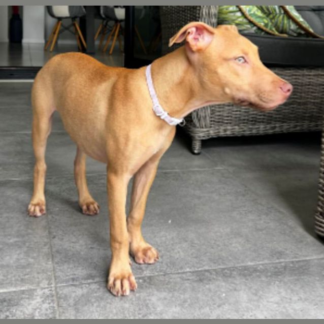 Photo of Hallie