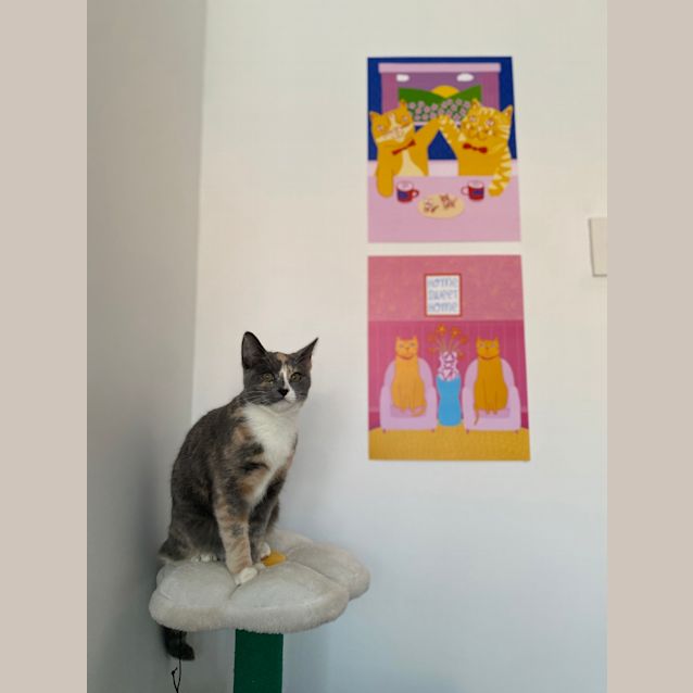 Photo of Leela (Was Miss Tuna)