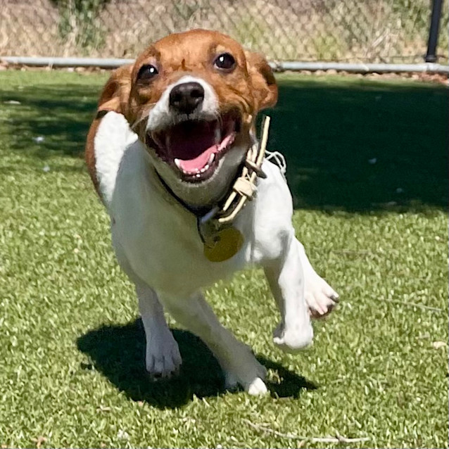 Photo of Tilly