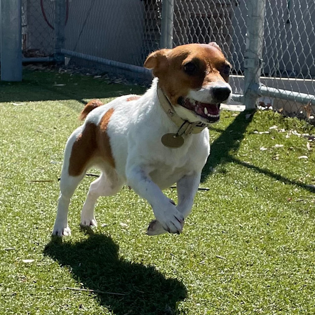 Photo of Tilly