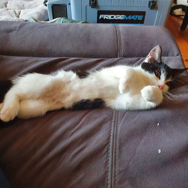 Photo of Gael And Mr T