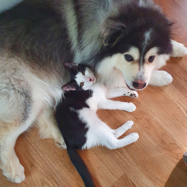 Photo of Gael And Mr T