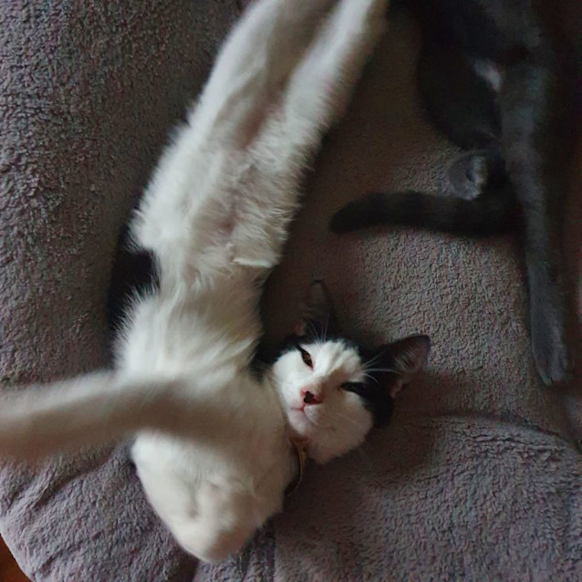 Photo of Gael And Mr T