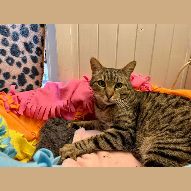 Photo of Billy (In Retirement Home)