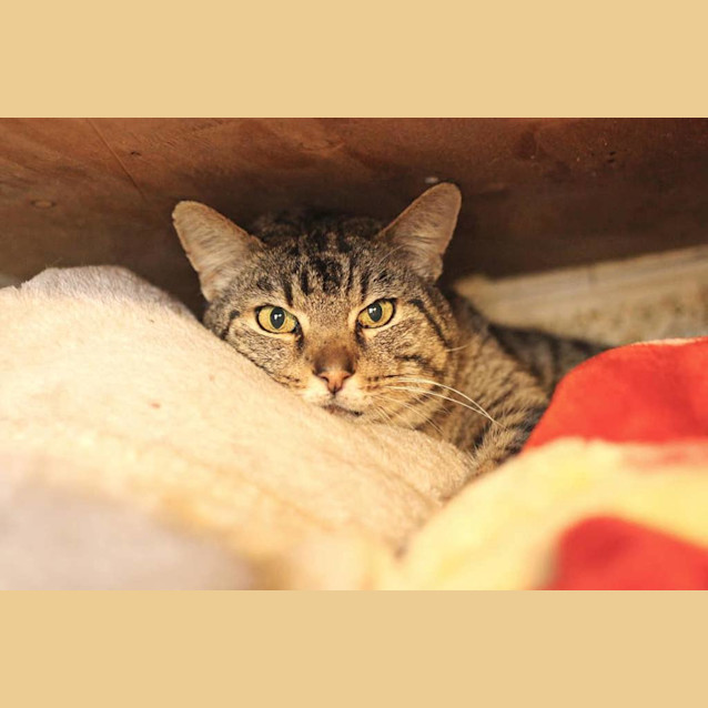 Photo of Billy (In Retirement Home)