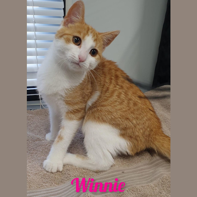 Photo of Winnie