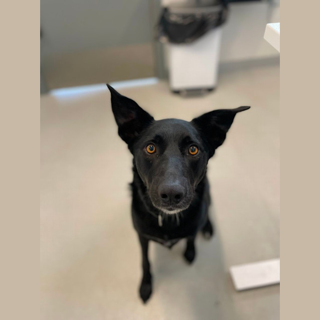 Photo of 🥔 Spud 5094 🥔