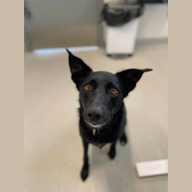 Photo of 🥔 Spud 5094 🥔