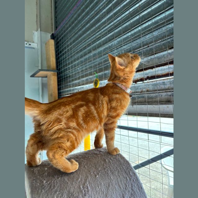 Photo of Arlo