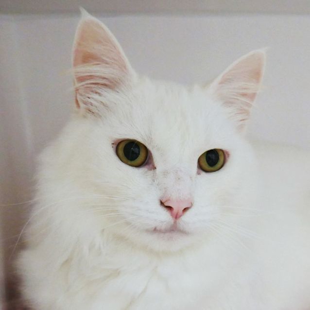 Photo of Rocky Rsuk002413