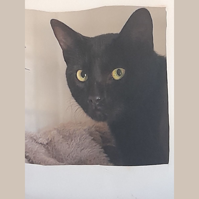 Photo of Sooty